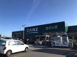 近くのカインズ児玉店まで800m（徒歩10分）