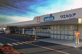 近くのウエルシア本庄児玉南店まで1,400m（徒歩18分）
