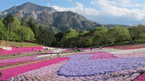 近くの羊山公園まで1,400m(徒歩18分)