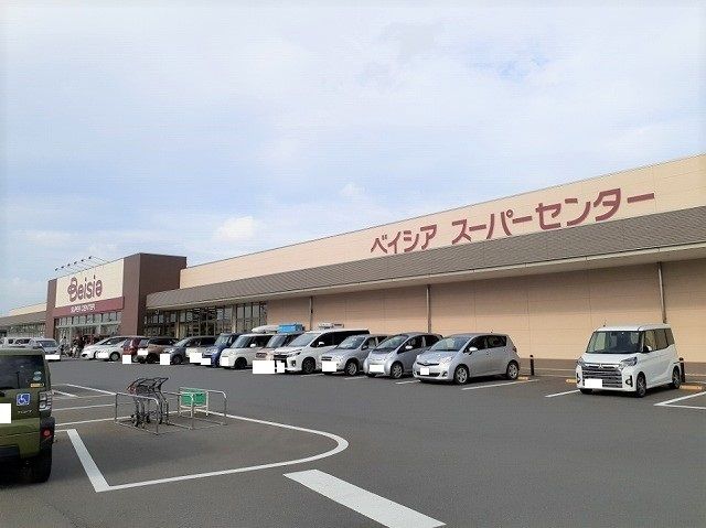 近くのベイシア芝山店まで350m（徒歩5分）
