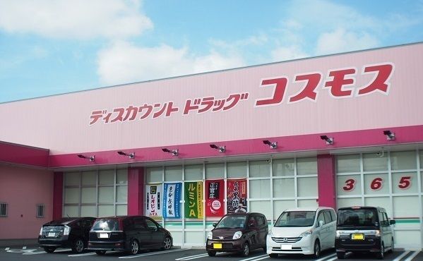 近くのコスモス東出雲店まで750m（徒歩10分）