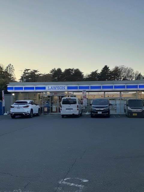 近くのローソンまで212m（徒歩3分）