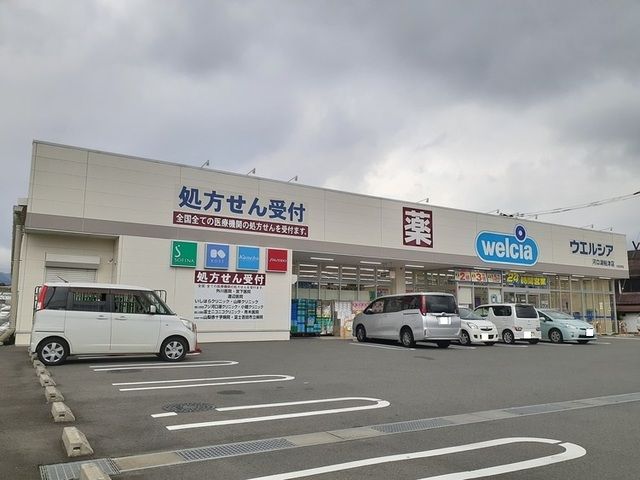 近くのウェルシア河口湖船津店まで1,000m(徒歩13分)