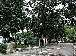 近くの松葉公園まで400m(徒歩5分)