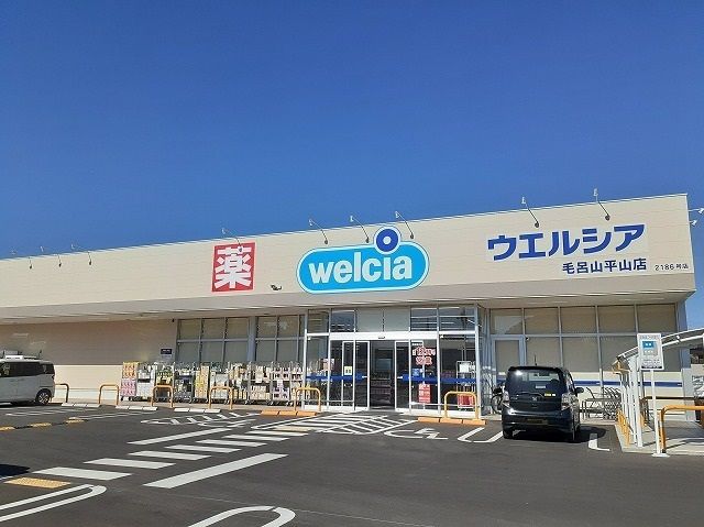 近くのウエルシア毛呂山平山店まで300m（徒歩4分）