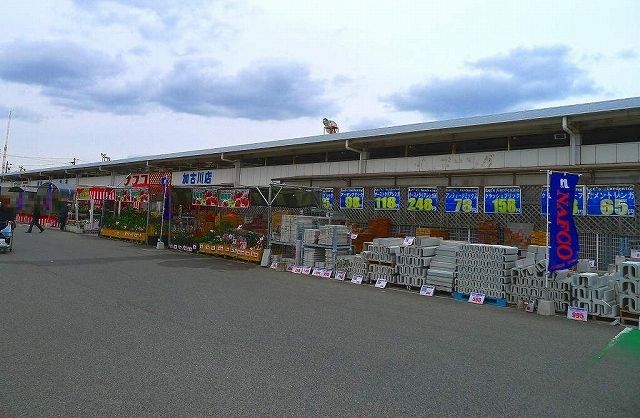 近くのホームセンターまで800m（徒歩10分）
