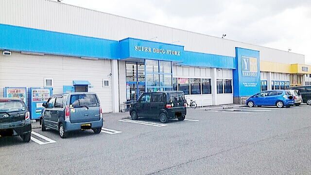 近くの薬王堂　江刺店まで1,100m（徒歩14分）