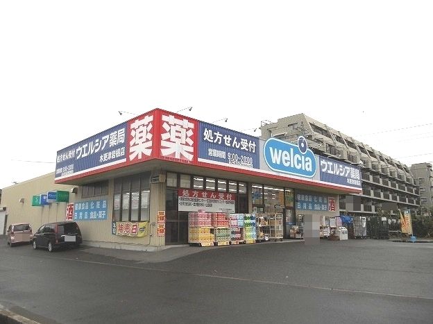 近くのウエルシア木更津岩根店まで1,000m（徒歩13分）