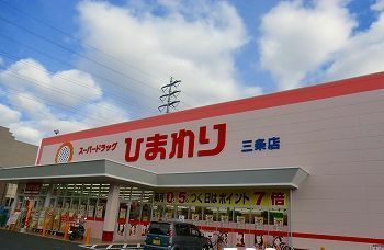 近くのスーパードラッグひまわり三条店まで700m（徒歩9分）