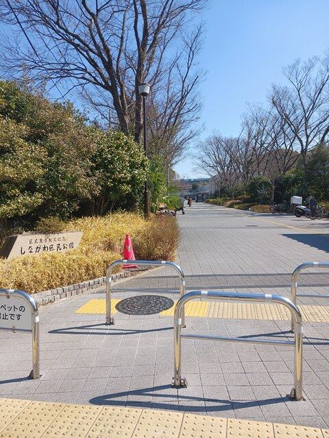 近くのしながわ区民公園まで169m（徒歩3分）