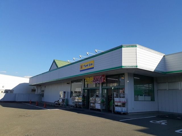 近くのドラッグストアまで870m（徒歩11分）