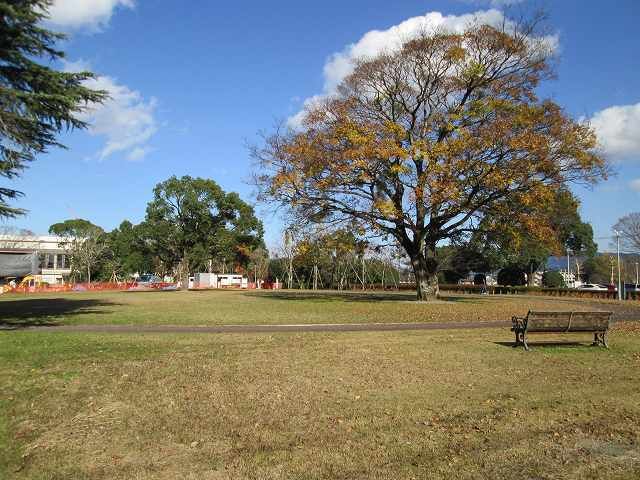 近くの早水公園まで400m（徒歩5分）