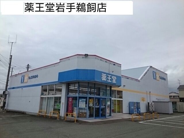 近くの薬王堂岩手鵜飼店まで450m（徒歩6分）