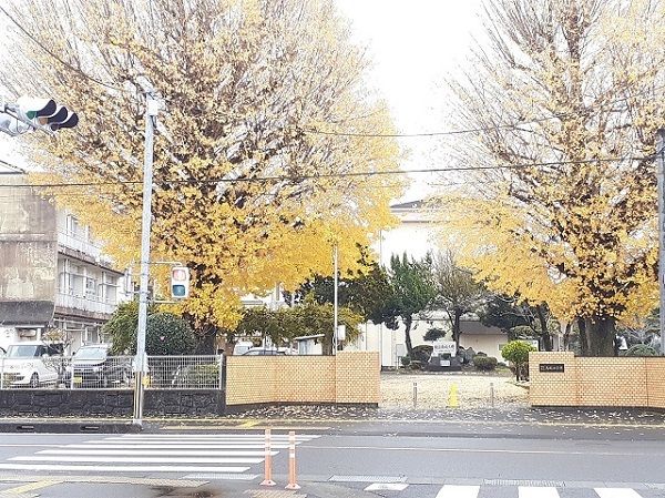 近くの都城市立高城小学校まで300m（徒歩4分）