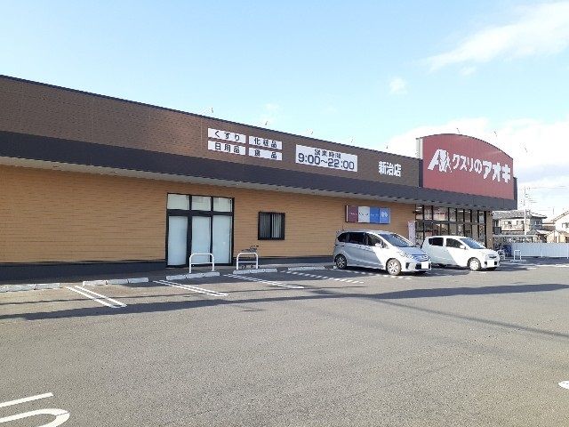 近くのクスリのアオキ新治店まで300m（徒歩4分）