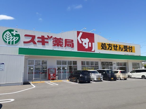 近くのスギドラッグ岐南店まで850m（徒歩11分）