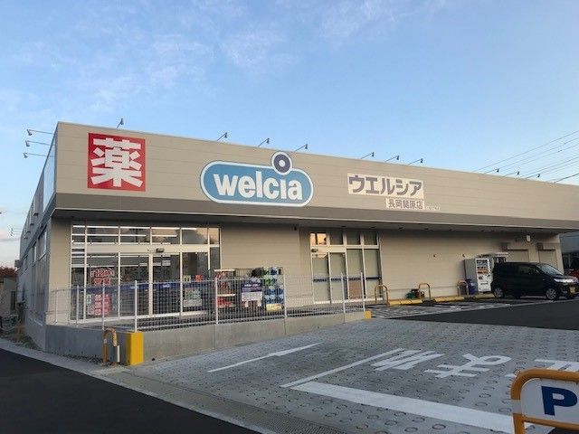 近くのウエルシア 長岡関原店まで1,010m(徒歩13分)