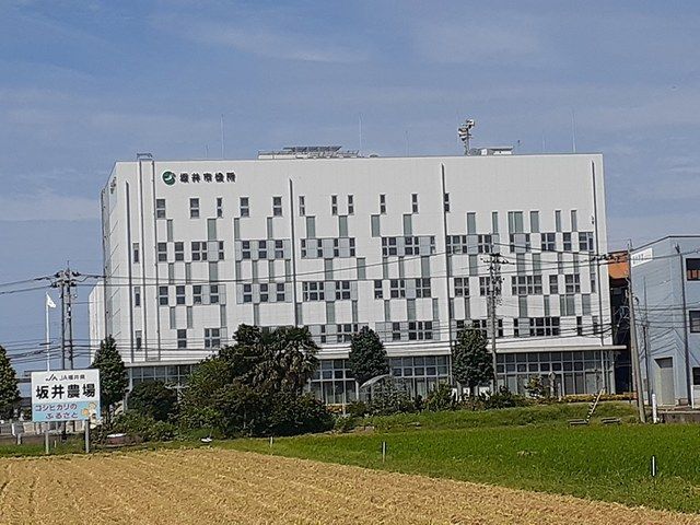 近くの坂井市役所まで233m（徒歩3分）