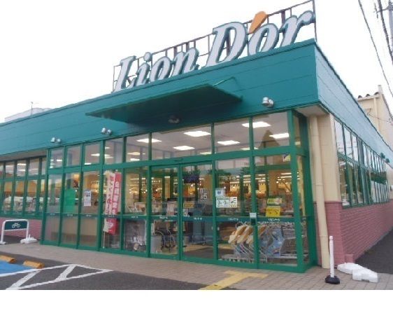近くのリオンドール南中央店まで350m（徒歩5分）