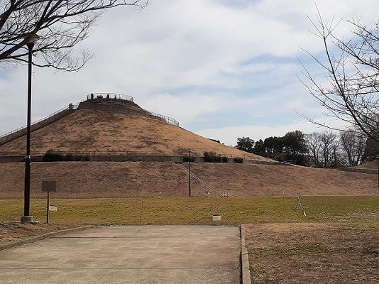 近くの川和富士公園まで500m（徒歩7分）