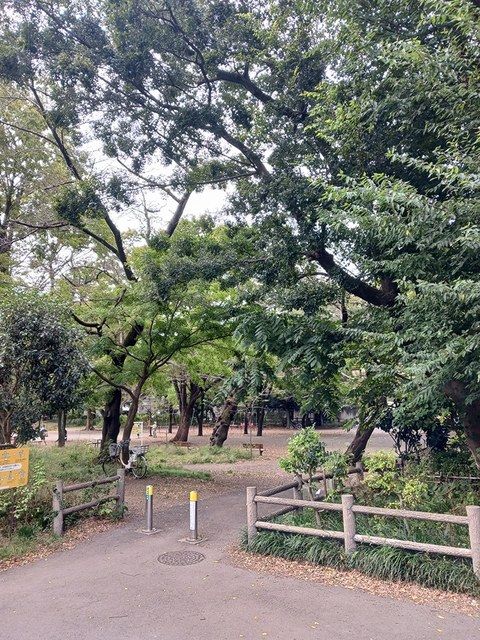 近くの善福寺公園まで479m（徒歩6分）