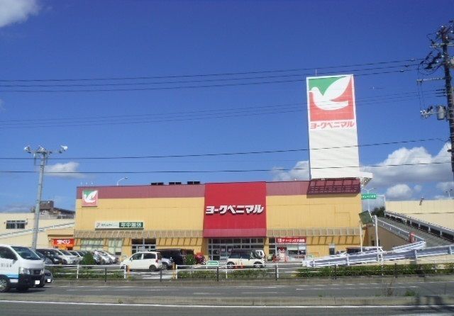 近くのヨークベニマル南福島店まで800m(徒歩10分)