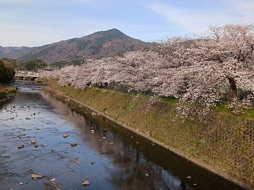 近くの鴨川まで100m（徒歩2分）