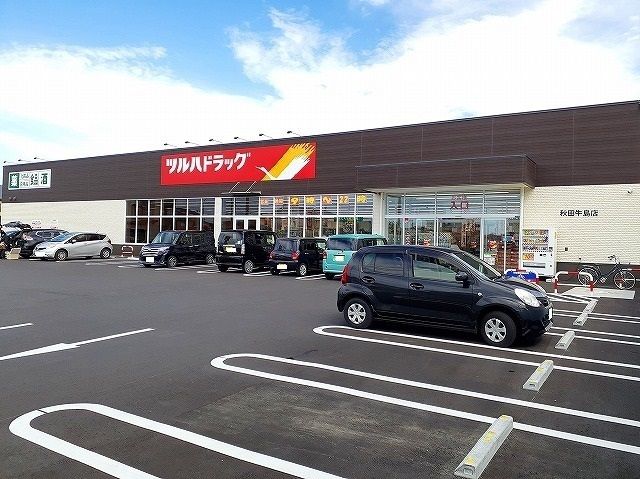 近くのツルハドラッグ秋田牛島店まで1,100m（徒歩14分）