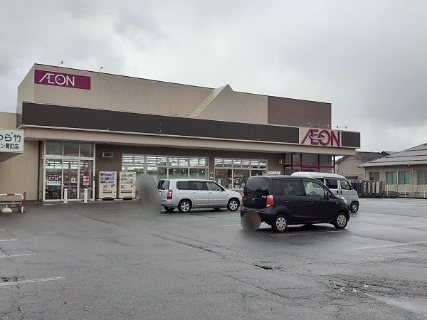 近くのイオン村上肴町店まで750m（徒歩10分）