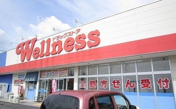 近くのウェルネス春日店まで600m（徒歩8分）