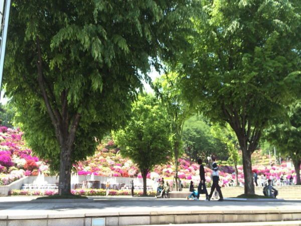 近くの西山公園まで400m（徒歩5分）