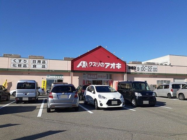 近くのドラッグストアまで1,000m（徒歩13分）
