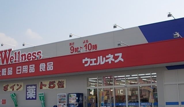 近くのドラッグストアまで850m（徒歩11分）