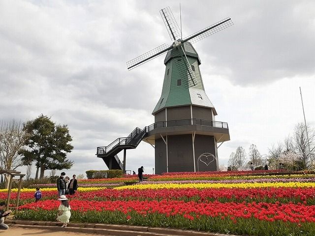 近くの霞ヶ浦総合公園まで1,250m（徒歩16分）