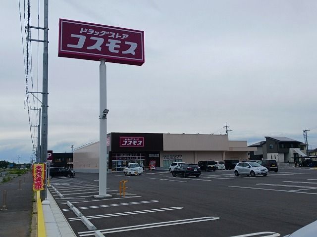 近くのドラッグストアコスモス高山店まで650m（徒歩9分）