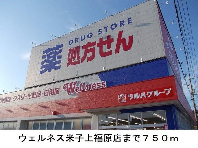 近くのドラッグストアまで750m（徒歩10分）