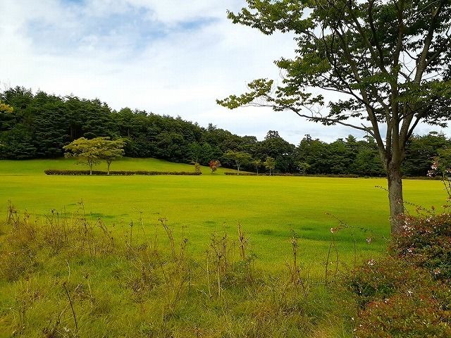 近くの公園まで1,257m（徒歩16分）