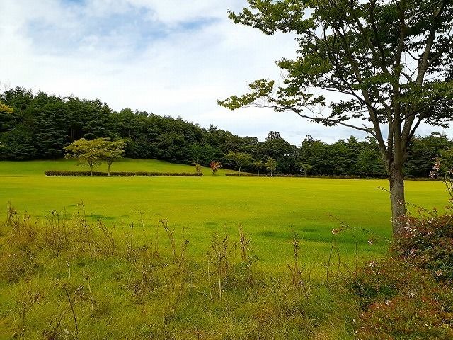 近くの県立小泉潟公園まで1,272m(徒歩16分)