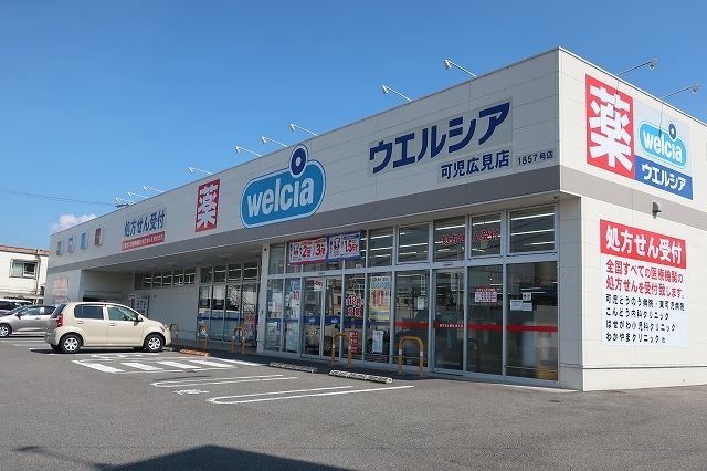 近くのドラッグストアまで300m（徒歩4分）