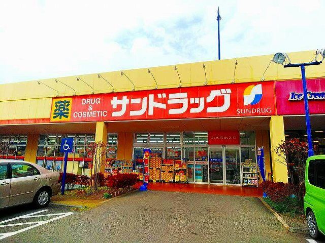 近くのドラッグストアまで1,000m（徒歩13分）