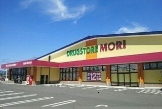 近くのドラッグストアモリ岡富店まで950m（徒歩12分）