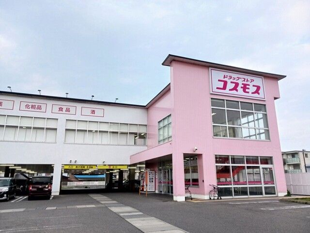 近くのドラッグストアまで730m（徒歩10分）