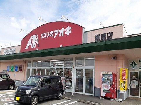 近くのドラッグストアまで800m（徒歩10分）