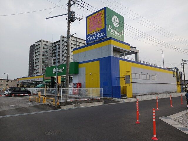 近くのドラッグストアまで419m（徒歩6分）