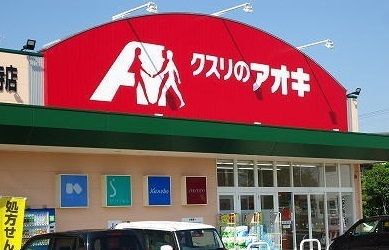 近くのドラッグストアまで1,034m（徒歩13分）