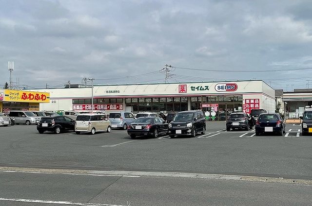 近くのドラッグセイムス 見沼風渡野店まで700m(徒歩9分)