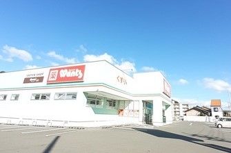 近くのドラッグストアまで250m（徒歩4分）