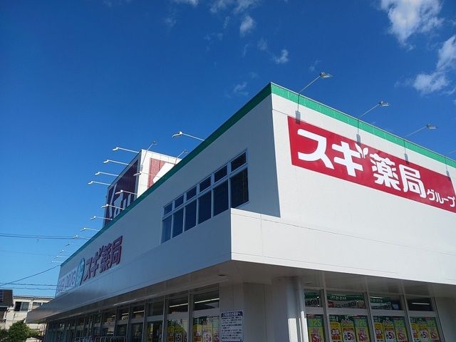 近くのドラッグストアまで750m（徒歩10分）