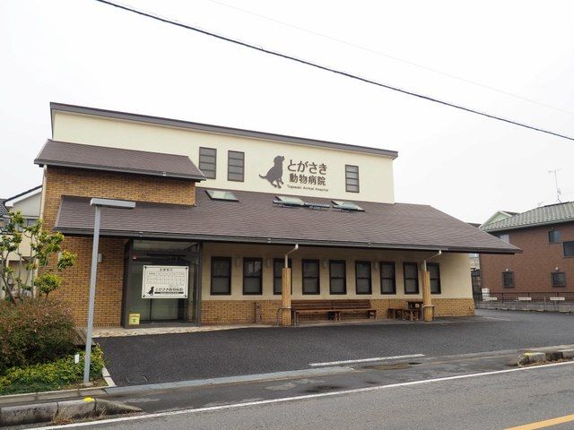 近くの施設まで800m（徒歩10分）