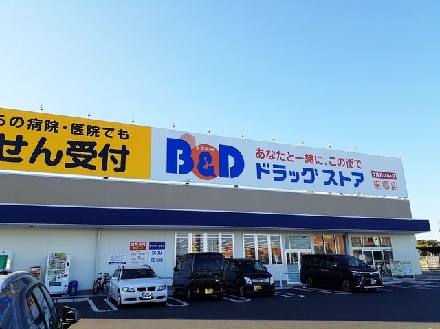 近くのB&Dドラッグストアまで1,300m（徒歩17分）